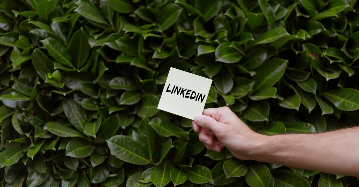 découvrez comment optimiser votre présence sur linkedin pour les professionnels de la ssi. conseils, stratégies et bonnes pratiques pour sécuriser et valoriser votre profil.