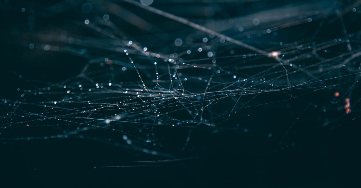 découvrez pourquoi certaines pages sont explorées par les moteurs de recherche mais ne sont pas indexées, et comment optimiser votre site pour améliorer son référencement.